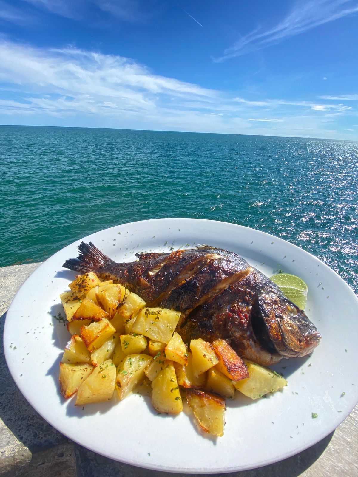Dorada 